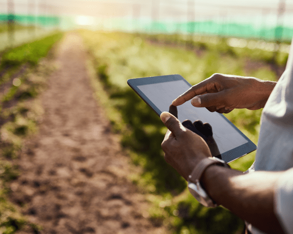 Sourcing Agri-products in Africa, No Longer a Pain in the A**